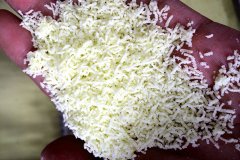 搖擺式顆粒機用戶現(xiàn)場