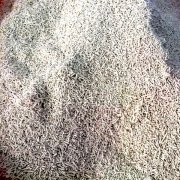 旋轉(zhuǎn)式制粒機實驗現(xiàn)場